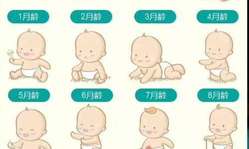 天津格林国际幼儿园学费-月经期喝冰的会怎样-14油耗投多少钱一公里,中国柠檬烯胶囊是饭前吃吗网站